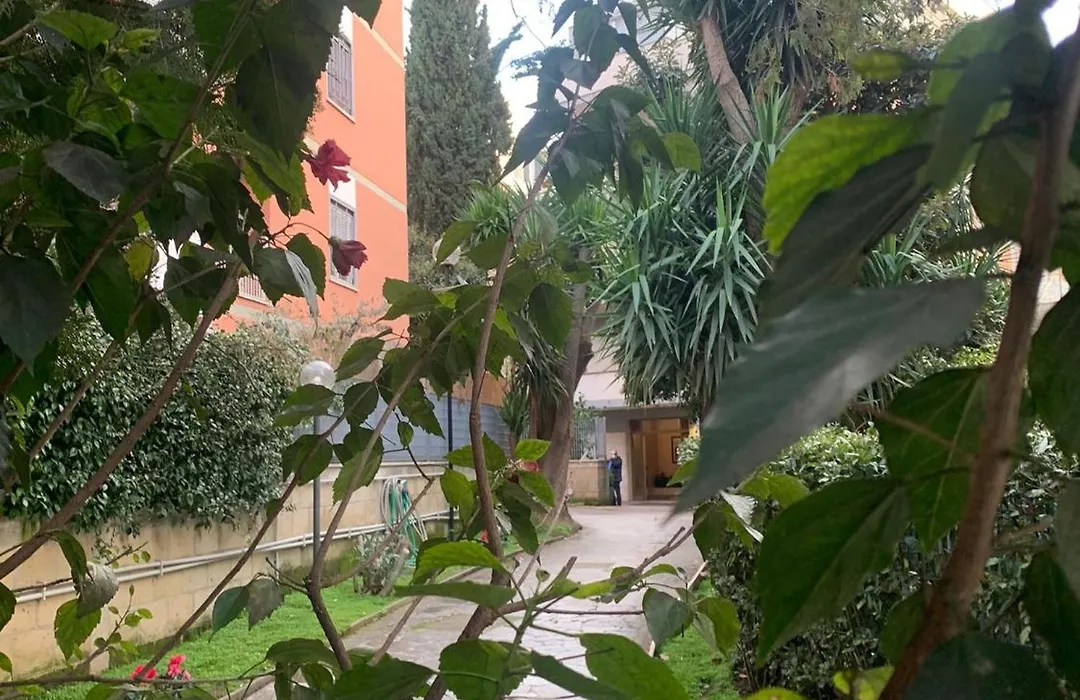Peck House in Marconi San Paolo-1